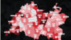 Tatarstan -- The number of deaths from Tatarstan in the war in Ukraine by Feb 2, 2023