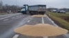 Розсипане учасниками блокування кордону з Україною зерно. Польща, поблизу пункту пропуску «Дорогуськ-Ягодин». 11 лютого 2024 року