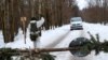 Image result for Каваленка 