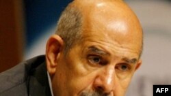 البرادعی چند ماه فرصت می خواهد.