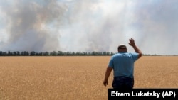 Площа земель із втраченими посівами може зрости до 80 тисяч гектарів