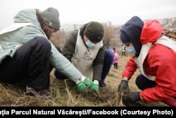 La începutul lunii decembrie, Asociația a plantat alături de voluntari și sponsori 250 de arbori din speciile: stejar brumăriu, cireș și măr sălbatic. Scopul este crearea unei bariere verzi pentru atenuarea noxelor din aer și a zgomotului traficului rutier.