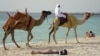 البته استفاده از شتر هم در بعضی مناطق می‌تواند موجب مفسده از هر دو نوعِ نشسته و خوابیده باشد!