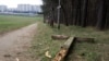 Справу пра вандалізм у Курапатах прыпынілі 