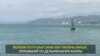 Миша в территориальных водах Грузии