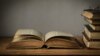 Пяць прычын прачытаць новую кнігу пра беларускага піяр-мэнэджара, мажора і нацыяналіста № 1