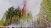 Experții Greenpeace apreciază că incendiul din Siberia ar putea deveni cel mai mare din istorie