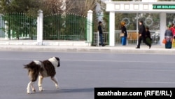 Türkmenistan (faýl suraty)