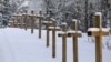 Image result for Буйвал