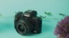 Canon m50 mark ii