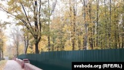 Больш за 200 дрэваў за гэтым плотам плянуюць зьнішчыць