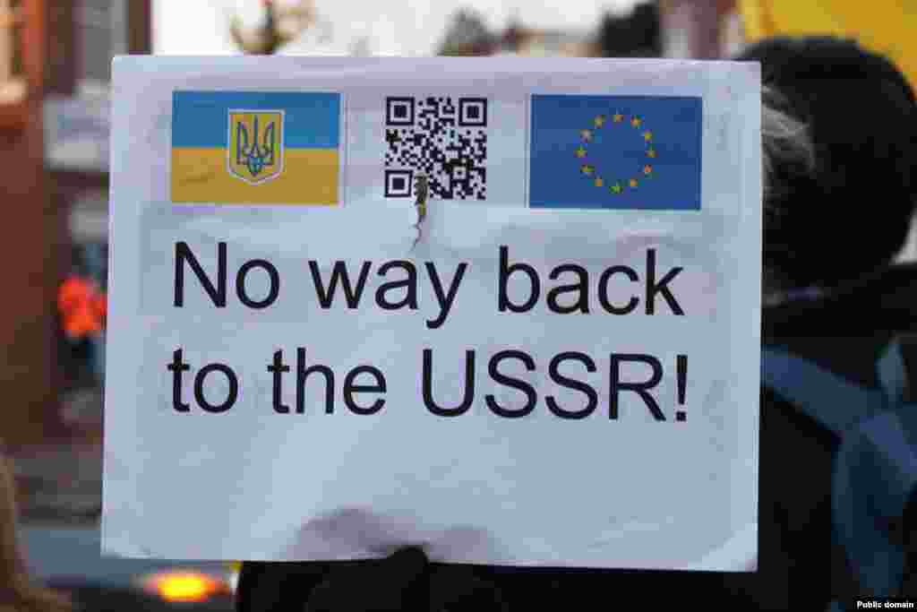 Євромайдан у Вашингтоні (США) (фото Facebook Myroslava Gongadze)
