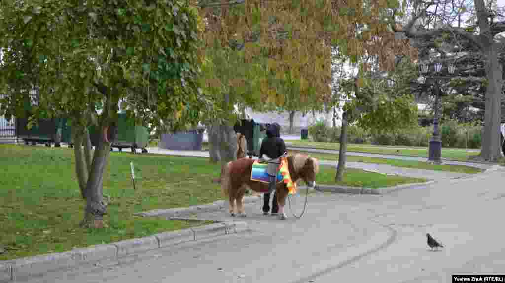 Поні 