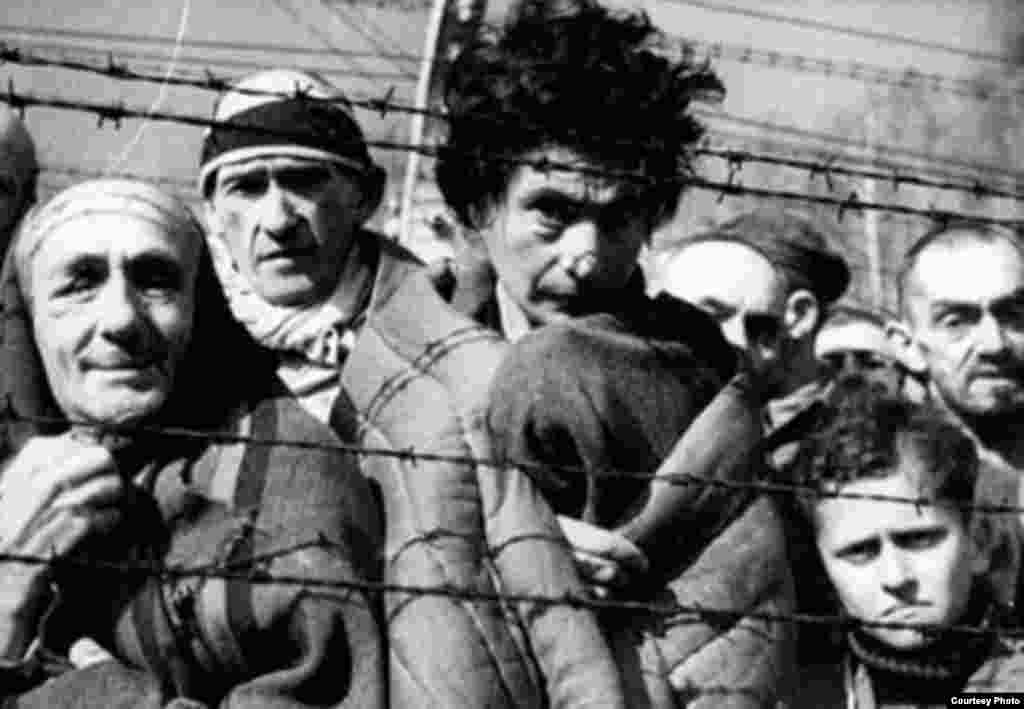 دانیل برترام: «پدرم به اداره کار رفت تا اجازه کار بگیرد. آن زمان اگر کسی این اجازه را داشت به اردوگاه فرستاده نمی شد. ولی وقت نشد تا اجازه بگیرد و همان روز آنها را فرستادند. »