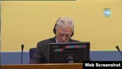 Bivši srbijanski general Momčilo Perišić u Hagu, 28. ožujak 2011.