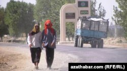 Illýustrasiýa suraty. Türkmenistan pagta önümçiliginde mejbury zähmetden ýa-da çaga zähmetinden peýdalanmakda ýyllarboýy ynsan hukuklaryny goraýjy halkara guramalar tarapyndan tankyt edilýär.