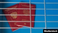 До Путіна звернулися з проханням спростити оформлення громадянства «для громадян «ЛНР» і «ДНР»