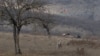 Ադրբեջանցի զինվոր, արխիվ