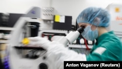 Russia -- A scientist examines COVID-19 infected cells under a microscope during research for a vaccine against the coronavirus at a laboratory of BIOCAD biotechnology company in Saint Petersburg, May 20, 2020.