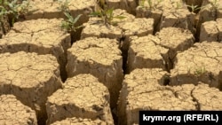 Міжгірське водосховище, 17 червня 2020 року