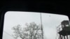 Image result for Белагубаў