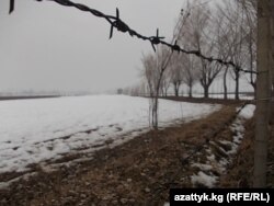 Кыргыз-өзбек чек арасындагы зым тосмо.