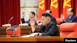 Demirgazyk Koreýanyň lideri Kim Ýong-un "Işçiler partiýasynyň" Merkezi Komitetiniň maslahatynda, Phenýan, 31-nji mart, 2013.