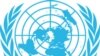 Image result for "Джой Нгозі Эзэйла"