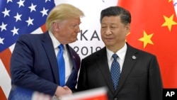 Дональд Трамп и Си Цзиньпин 