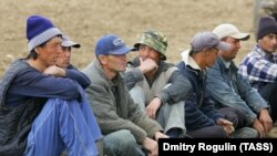 Мигранты, работающие на сельскохозяйственных угодиях в Волгоградской области