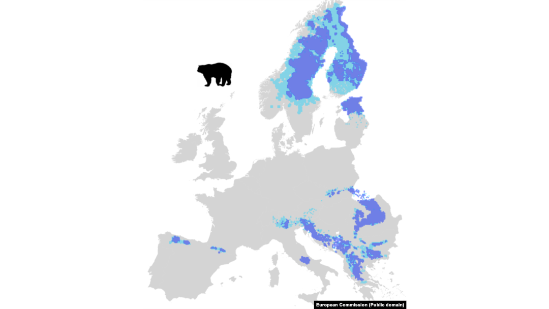 Hartă Comisiei Europene arată unde trăiesc urșii în Europa.