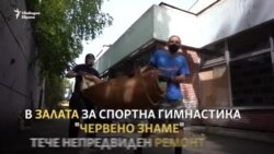 "За децата". Нещо се случва в залата за гимнастика