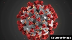 Sars-Cov-2 continuă să producă victime în România.