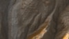Марс. Район Terra Sirenum. На снимке отчетливо видны промоины, образованные протекавшей водой.