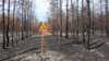 Image result for "Аляксандар Валчанін"