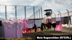После реформ, проводимых с 2013 года, условия в колонии улучшились