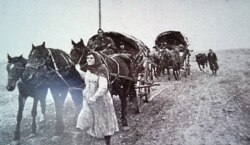 Із колекції музею німецьких колоністів села Лиманське Одеської області