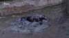 16x9 Image