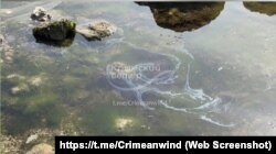«Масляную пленку» заметили в Черном море в Керчи, 29 марта 2025 года