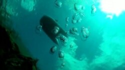 Sick Sponges Threaten Russia's Lake Baikal