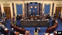 Senatorii americani au aprobat prin bugetul apărării un act special pentru securitatea la Marea Neagră. 