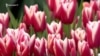 16x9 Image