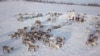 Russia, The Nomadic Nenets Of Russia screen grab