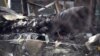 Військові ЗСУ повідомили про збиття двох російських Су-25