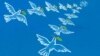 از ۳۰۰ سفر خارجی مشایی تا سوء تغذیه ۲۰ درصد کودکان سیستان