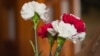 Image result for Гусак