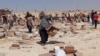 Palestinienii adunați pentru a colecta ce a mai rămas din ajutoarele de la centrul de distribuție al Fundației Umanitare Gaza, susținută de SUA, în Rafah, în sudul Fâșiei Gaza, 5 iunie 2025. 