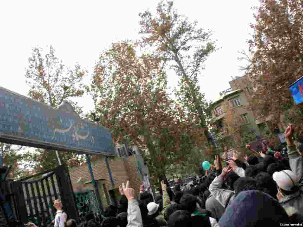 گالری عکس و فیلم