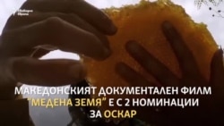 Как филмът "Медена земя" от Северна Македония впечатли Холивуд