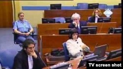 Suđenje Radovanu Karadžiću, 23. veljače 2011